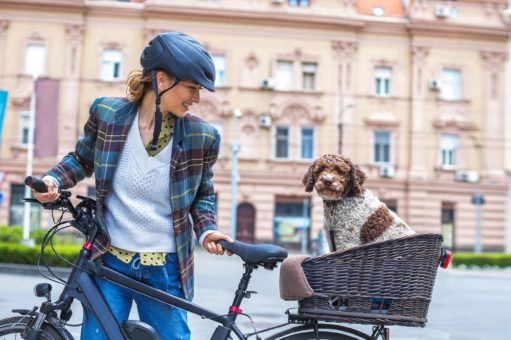 Hund und Katze sicher auf dem Fahrrad transportieren