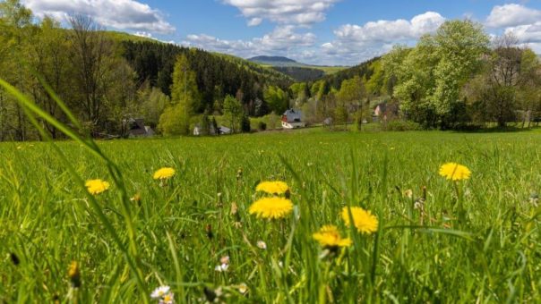 Frühlingserwachen und Osterzeit im Erzgebirge