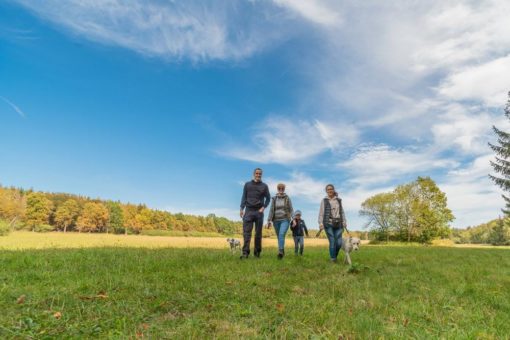 Urlaub mit Hund im Oberharz am Brocken