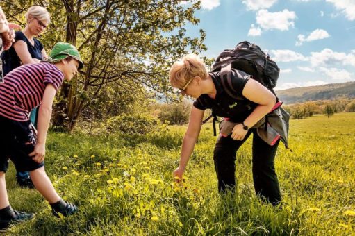 Wildkräuterführungen mit Sabine Schweiger