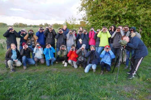 Jetzt anmelden zum NAJU Birders Camp vom 13.-15. Mai!