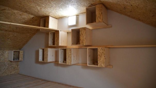 Taubenhaus eröffnet