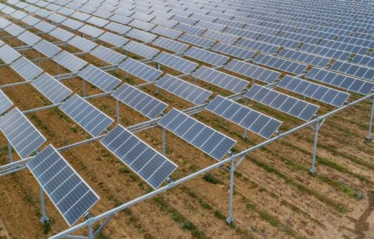 Doppelte Ernte – Agri-Photovoltaik setzt auf feuerverzinkten Stahl