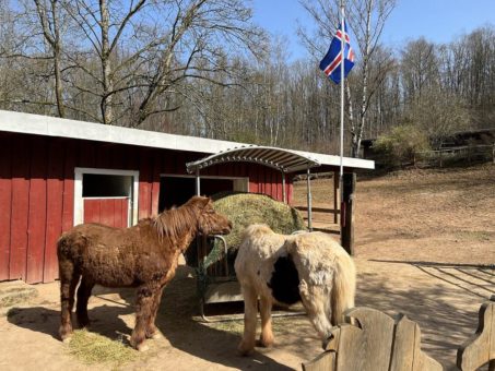 Aktionstag „Das Leben ist ein Ponyhof“