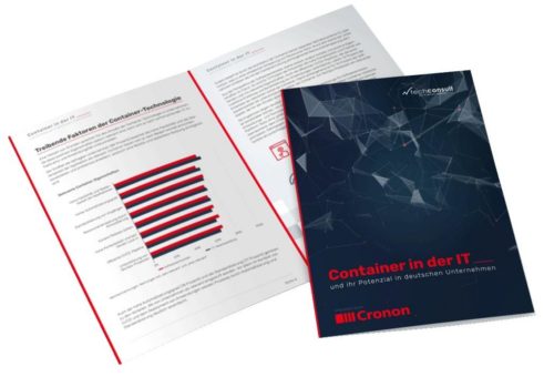 Gekommen, um zu bleiben: Studie zum Container-Einsatz in deutschen Unternehmen