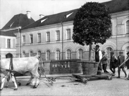 Schlosspark Nymphenburg