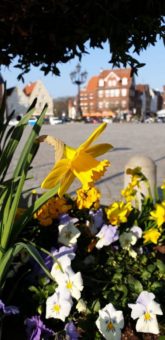 „Frühlingserwachen“ – Verkaufsoffener Sonntag in Glückstadt