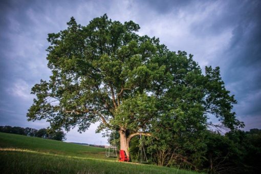 Lebendige Stille erleben in den Seelenorten im Sauerland