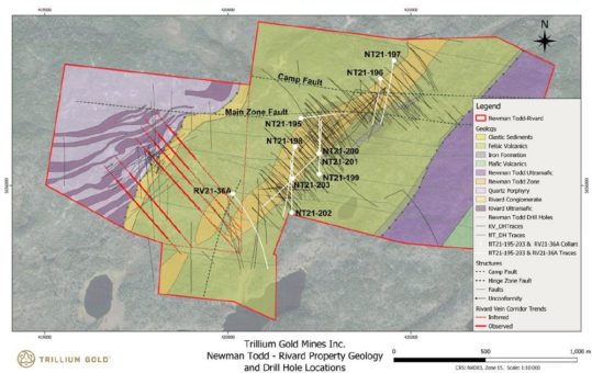 Trillium Gold durchschneidet neue Ost-West-Strukturen auf Newman Todd