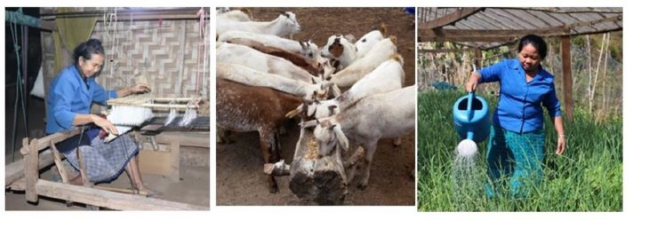 Zwei Ziegen für Oma Phone