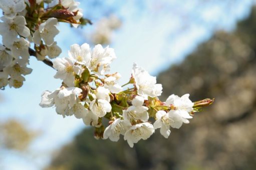Besuch von Staatssekretärin Sabine Kurtz, MdL und Manuel Hailfinger, MdL