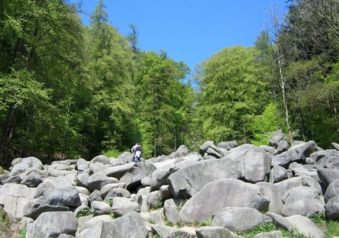 30 Geotope³: Deutschlands schönste Geotope – das Felsenmeer im Lautertal ist eines davon