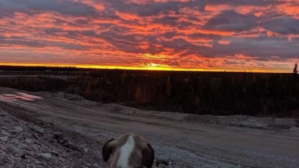 Unternehmen liefern weiter TOP-News! Jeden Rücksetzer für sich nutzen!