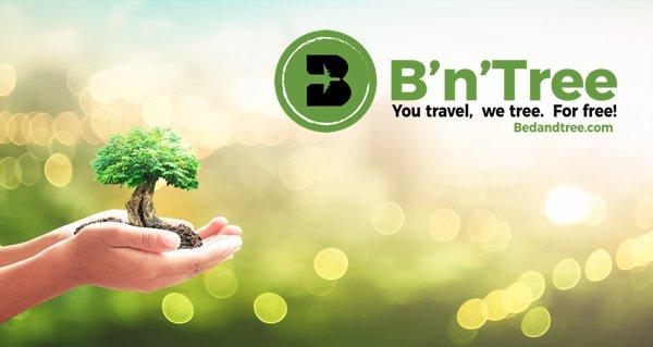 Drei Bäume pro Bett: Best Western Hotels bieten klimafreundliche Buchungsoption