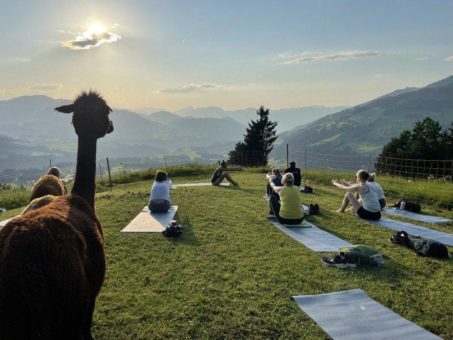 Alpaka-Yoga im Brixental: Mit flauschigen Assistenten zur Achtsamkeit