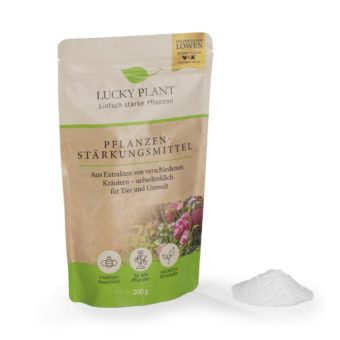 Starke Pflanzen mit Superfood – jetzt bei Netto Marken-Discount