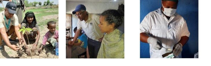 Mit erneuerbaren Energien gegen Hunger und Armut