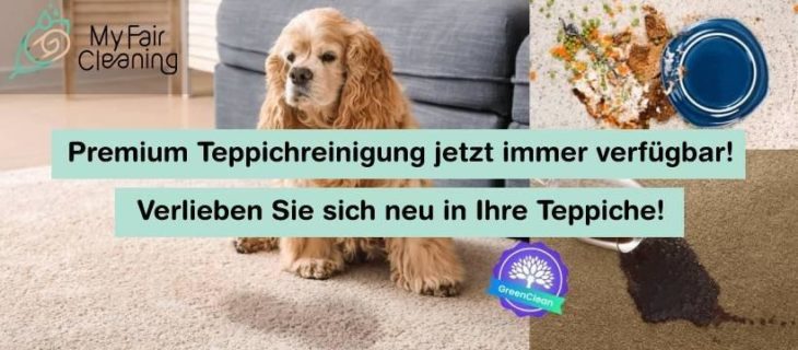 My Fair Cleaning – Deutschlands 1 vollständig digitalisierte Plattform für Premium-Teppichreinigungen