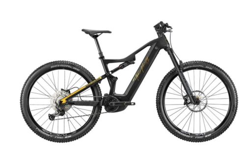 Kneissl Bikes von Fitstore24 und Franz Kneissl Design