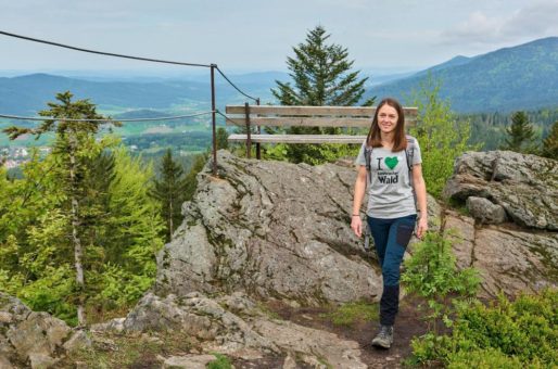 Weite Blicke über das Grüne Dach Europas – die schönsten Aussichtspunkte im Bayerischen Wald mit Panoramagenuss