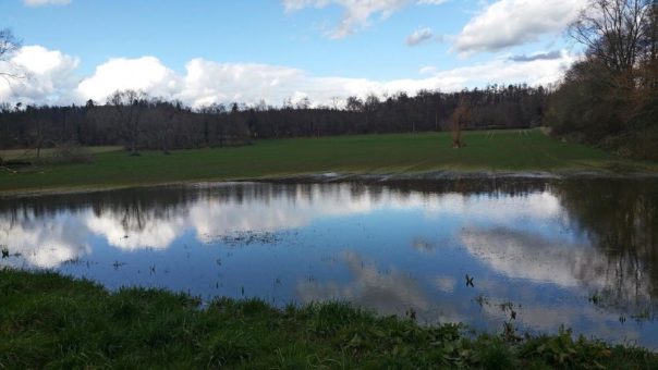 Fachtagung GeNIAL – Wissensvermittlung zur Anpassung der Landwirtschaft an den Klimawandel am 27. April 2022