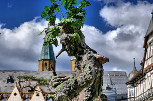 Goslarer Gartenmarkt am 15. Mai – Hier blüht dir was!