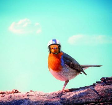 Nachhaltige Fassadengestaltung