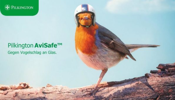 Die Lösung für Vogelschlag an Glas: Pilkington AviSafe™