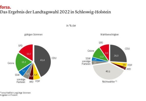 Anmerkungen zur Landtagswahl in Schleswig-Holstein