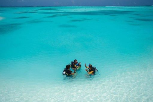 Die beeindruckende Unterwasserwelt der Malediven nachhaltig entdecken