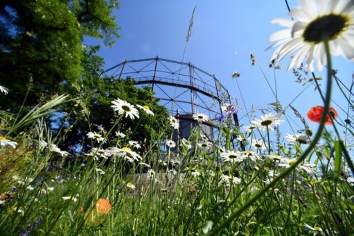 „Tag der Natur“ auf dem Gaswerksgelände der Stadtwerke Augsburg