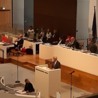 Wichtiger Meilenstein: Antrag zu ME/CFS im Niedersächsischen Landtag mit großer Mehrheit beschlossen