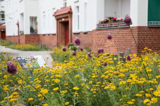 Jetzt wird’s persönlich: Welche Biene bist du?