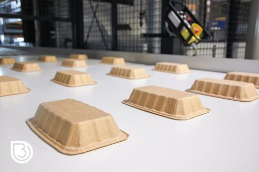 BIO-LUTIONS kooperiert mit PulPac – Aufbau einer  Großproduktionsanlage für Dry Molded Fiber Produkte