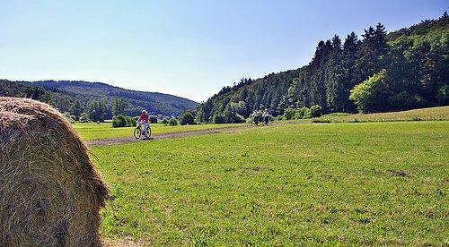 Auf zwei Rädern zum Grafenschloss