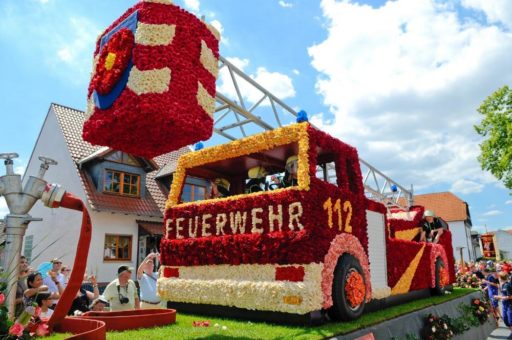 47. Steinfurther Rosenfest findet statt
