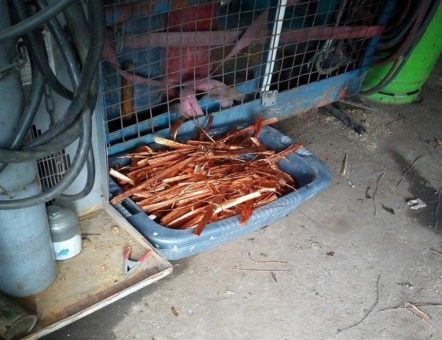 Schrottankauf Hamm – unsere Schrotthändler fahren Ihren Wunschort an