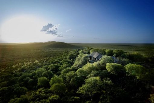 Listen To Nature – Achtsamkeits-Safari im Ongava Game Reserve