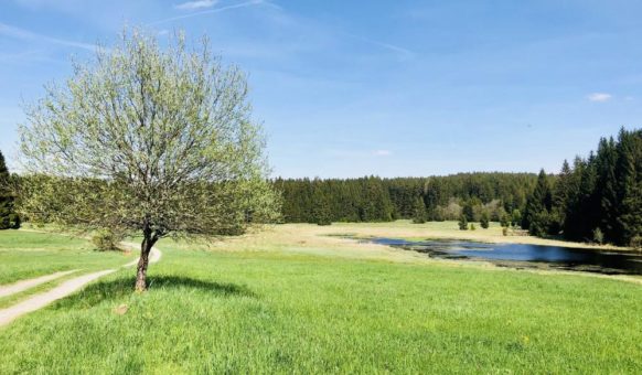 Das Grüne Band erleben und genießen – für Groß und Klein