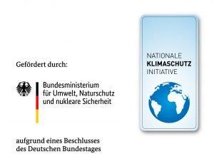 Den Klimawandel anpacken: Vom Wissen ins Handeln kommen