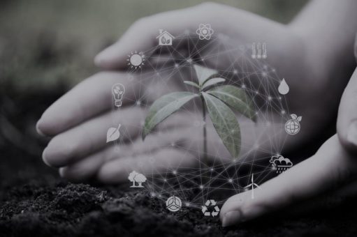 Nachhaltigkeit erfolgreich umsetzen: ESG im Mittelstand