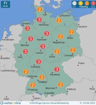 Roggenpollenflug wird stärker