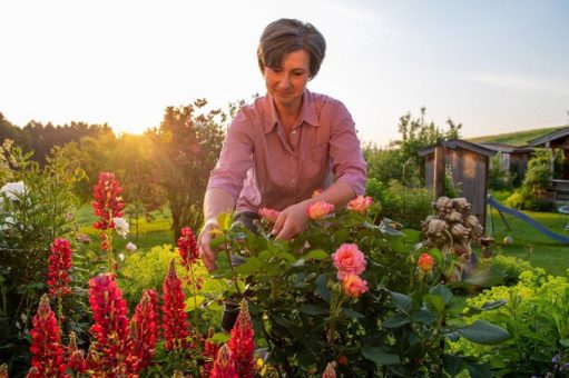 Bauerngarten: Die Floristin vom „Buchnahof“
