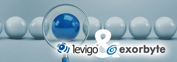 levigo solutions und exorbyte sind Business-Partner