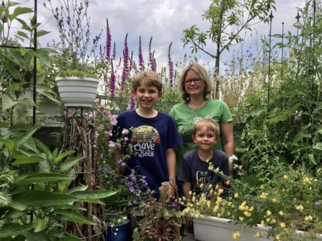 „Villa für Wildbienen“ und „Neu-Balkonesien“: Bundesweit bereits über 42 Hektar für Insekten gestaltet