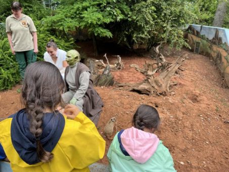Strahlende Kinderaugen bei der Traumnacht im Neunkircher Zoo
