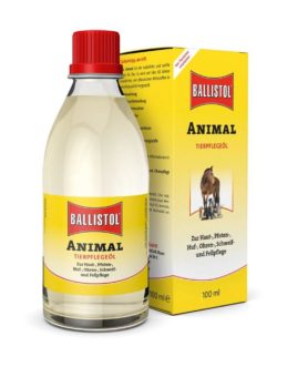 Hundehalter aufgepasst: So wird der Sommer mit Vierbeinern perfekt