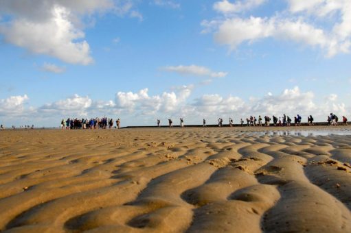 Watt erleben im Nordseeheilbad Cuxhaven