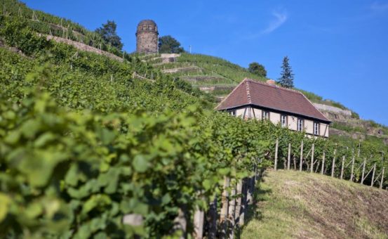 Schloss Wackerbarth restauriert historisches Winzerhaus im Goldenen Wagen