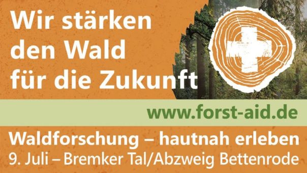 Wie sieht der Wald von morgen aus?